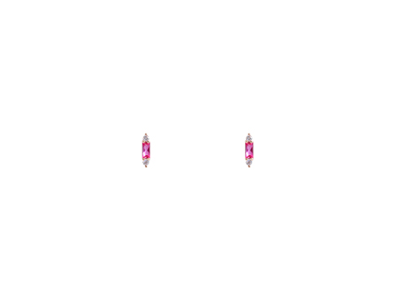 ǰ̹